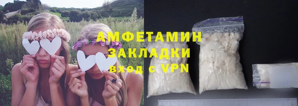 амф Горняк