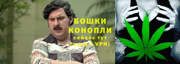тгк Горно-Алтайск
