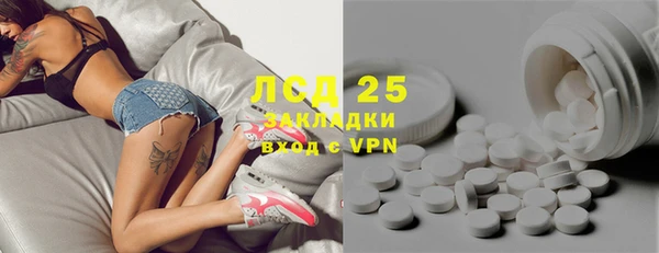 амф Горняк