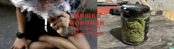 амф Горняк