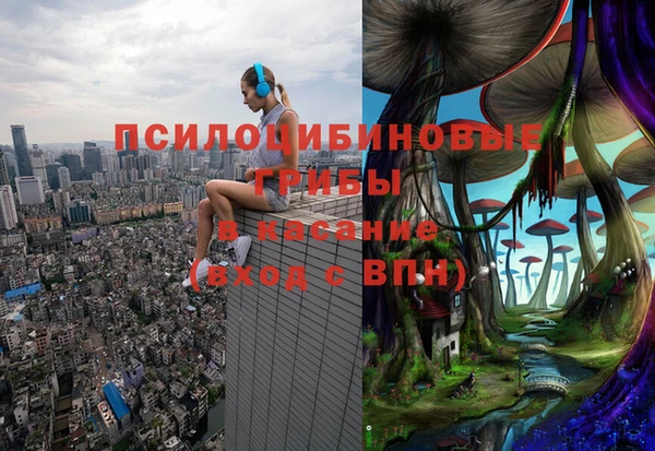 тгк Горно-Алтайск