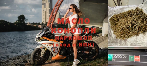 амф Горняк