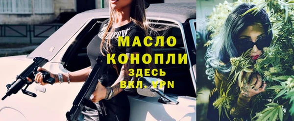 амф Горняк