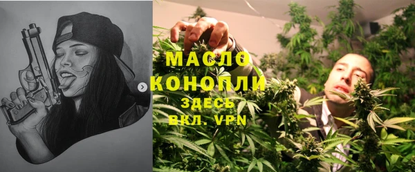 амф Горняк
