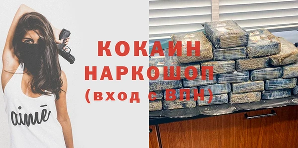 гидра Надым