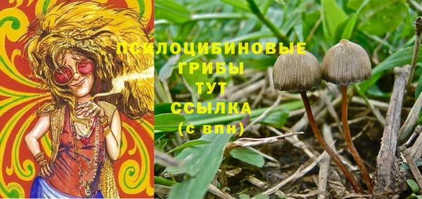 бутират Горнозаводск