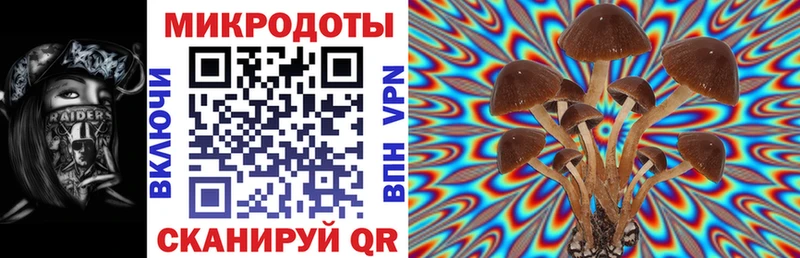 Галлюциногенные грибы Psilocybine cubensis  продажа наркотиков  MEGA   Моршанск 
