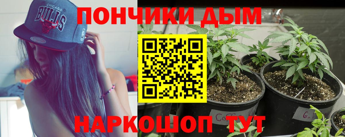 Бошки марихуана LSD WEED  Каннабис MAZAR  Конопля планчик  Моршанск  Шишки марихуана AK-47 